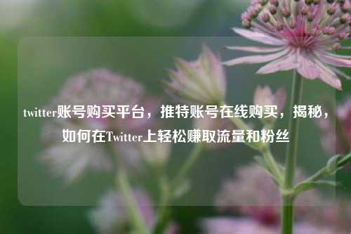 twitter账号购买平台，推特账号在线购买，揭秘，如何在Twitter上轻松赚取流量和粉丝