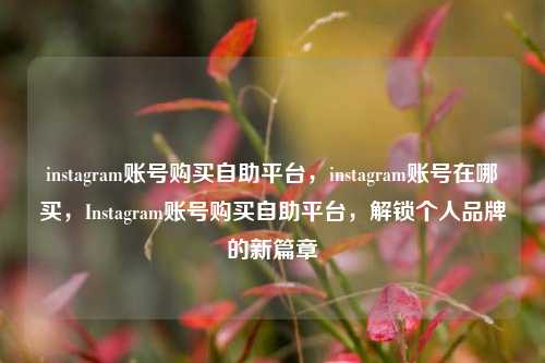 instagram账号购买自助平台，instagram账号在哪买，Instagram账号购买自助平台，解锁个人品牌的新篇章