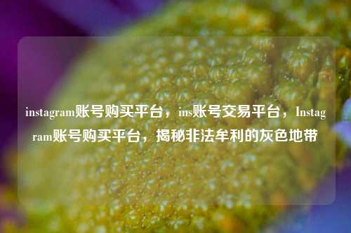 instagram账号购买平台	，ins账号交易平台，Instagram账号购买平台，揭秘非法牟利的灰色地带  第1张