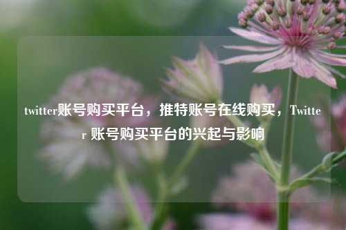 twitter账号购买平台，推特账号在线购买，Twitter 账号购买平台的兴起与影响