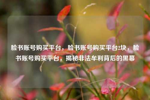 脸书账号购买平台，脸书账号购买平台2块，脸书账号购买平台，揭秘非法牟利背后的黑幕
