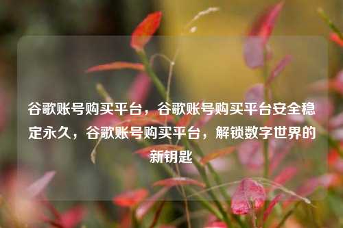 谷歌账号购买平台，谷歌账号购买平台安全稳定永久，谷歌账号购买平台，解锁数字世界的新钥匙