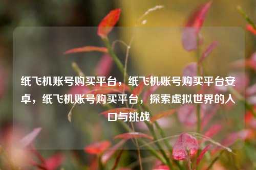 纸飞机账号购买平台，纸飞机账号购买平台安卓，纸飞机账号购买平台，探索虚拟世界的入口与挑战