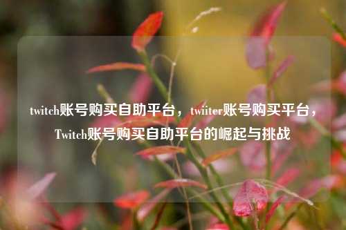 twitch账号购买自助平台，twiiter账号购买平台，Twitch账号购买自助平台的崛起与挑战