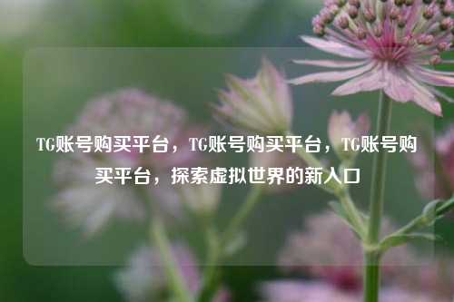 TG账号购买平台，TG账号购买平台，TG账号购买平台，探索虚拟世界的新入口