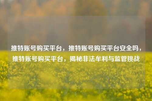 推特账号购买平台，推特账号购买平台安全吗，推特账号购买平台，揭秘非法牟利与监管挑战