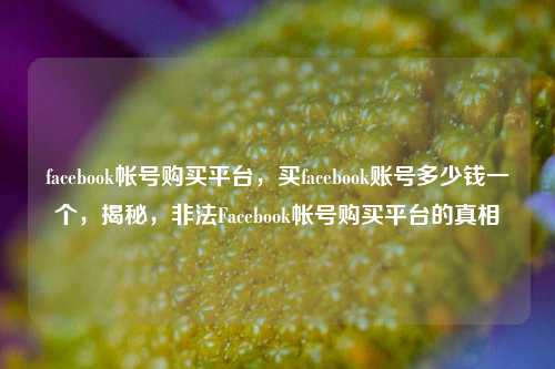 facebook帐号购买平台，买facebook账号多少钱一个，揭秘，非法Facebook帐号购买平台的真相