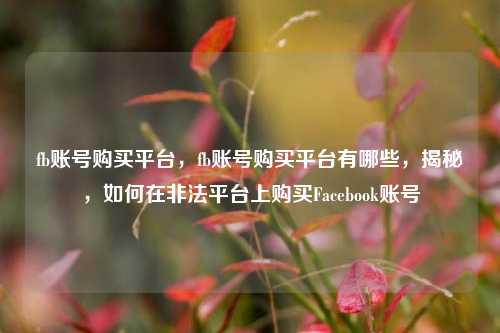 fb账号购买平台，fb账号购买平台有哪些，揭秘，如何在非法平台上购买Facebook账号
