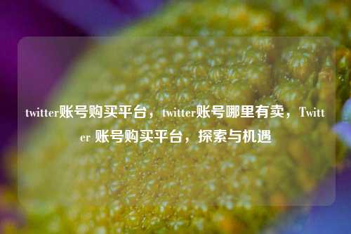 twitter账号购买平台，twitter账号哪里有卖，Twitter 账号购买平台，探索与机遇