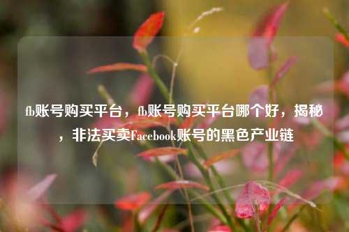 fb账号购买平台，fb账号购买平台哪个好，揭秘，非法买卖Facebook账号的黑色产业链