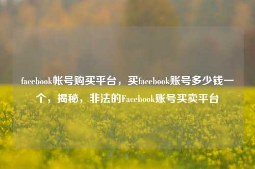 facebook帐号购买平台，买facebook账号多少钱一个，揭秘，非法的Facebook账号买卖平台