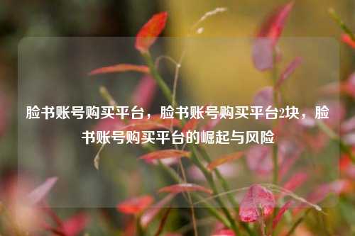 脸书账号购买平台，脸书账号购买平台2块，脸书账号购买平台的崛起与风险