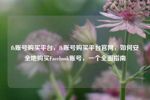 fb账号购买平台，fb账号购买平台官网，如何安全地购买Facebook账号，一个全面指南