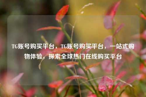 TG账号购买平台，TG账号购买平台，一站式购物体验，探索全球热门在线购买平台