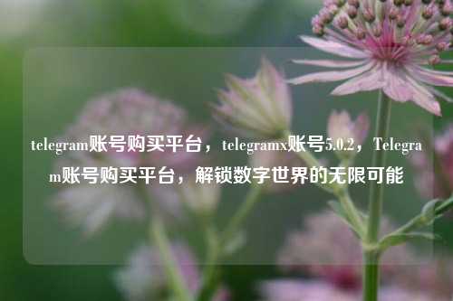 telegram账号购买平台，telegramx账号5.0.2，Telegram账号购买平台，解锁数字世界的无限可能