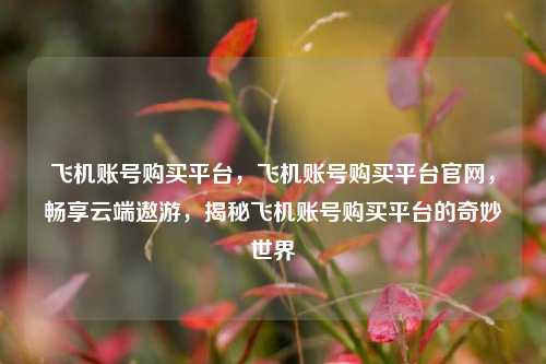 飞机账号购买平台，飞机账号购买平台官网，畅享云端遨游，揭秘飞机账号购买平台的奇妙世界