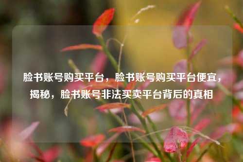 脸书账号购买平台，脸书账号购买平台便宜，揭秘，脸书账号非法买卖平台背后的真相