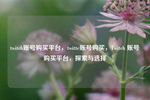 twitch账号购买平台，twitte账号购买，Twitch 账号购买平台，探索与选择