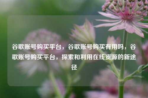 谷歌账号购买平台，谷歌账号购买有用吗，谷歌账号购买平台，探索和利用在线资源的新途径