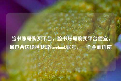 脸书账号购买平台，脸书账号购买平台便宜，通过合法途径获取Facebook账号，一个全面指南