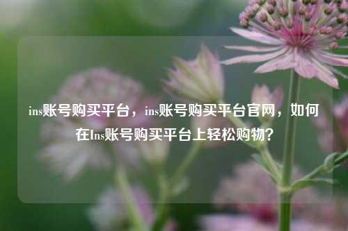 ins账号购买平台，ins账号购买平台官网，如何在Ins账号购买平台上轻松购物？