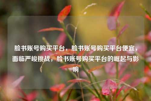 脸书账号购买平台，脸书账号购买平台便宜，面临严峻挑战，脸书账号购买平台的崛起与影响