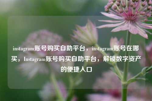 instagram账号购买自助平台，instagram账号在哪买，Instagram账号购买自助平台，解锁数字资产的便捷入口