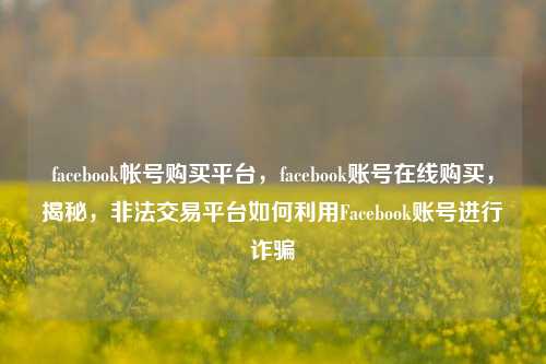 facebook帐号购买平台，facebook账号在线购买，揭秘，非法交易平台如何利用Facebook账号进行诈骗