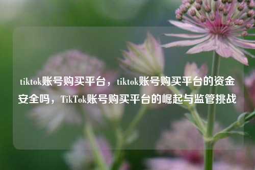 tiktok账号购买平台，tiktok账号购买平台的资金安全吗，TikTok账号购买平台的崛起与监管挑战