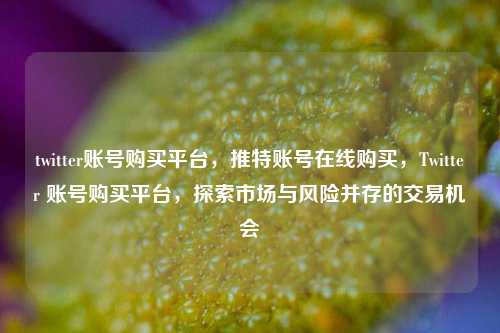 twitter账号购买平台，推特账号在线购买，Twitter 账号购买平台，探索市场与风险并存的交易机会