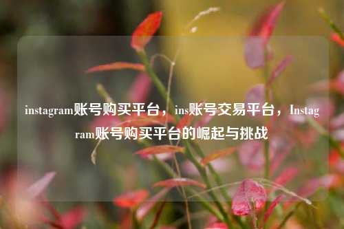 instagram账号购买平台，ins账号交易平台，Instagram账号购买平台的崛起与挑战