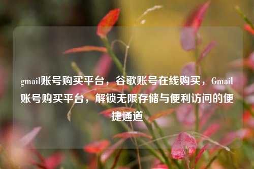 gmail账号购买平台，谷歌账号在线购买，Gmail账号购买平台，解锁无限存储与便利访问的便捷通道