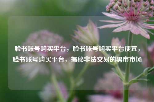 脸书账号购买平台，脸书账号购买平台便宜，脸书账号购买平台，揭秘非法交易的黑市市场