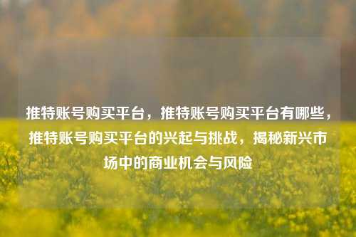 推特账号购买平台，推特账号购买平台有哪些，推特账号购买平台的兴起与挑战，揭秘新兴市场中的商业机会与风险