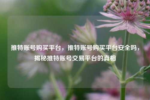 推特账号购买平台，推特账号购买平台安全吗，揭秘推特账号交易平台的真相