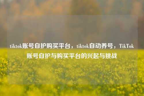 tiktok账号自护购买平台，tiktok自动养号，TikTok账号自护与购买平台的兴起与挑战