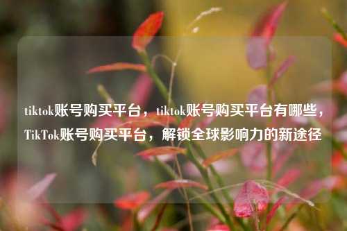 tiktok账号购买平台，tiktok账号购买平台有哪些，TikTok账号购买平台，解锁全球影响力的新途径