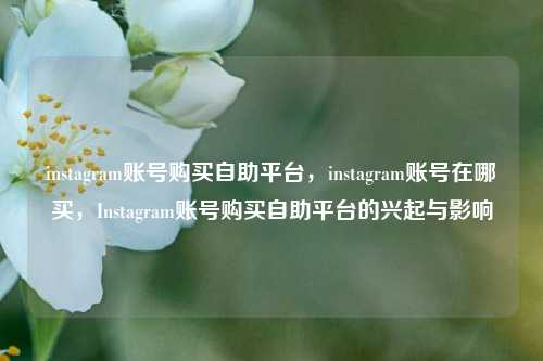 instagram账号购买自助平台，instagram账号在哪买，Instagram账号购买自助平台的兴起与影响