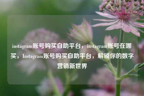 instagram账号购买自助平台，instagram账号在哪买，Instagram账号购买自助平台，解锁你的数字营销新世界