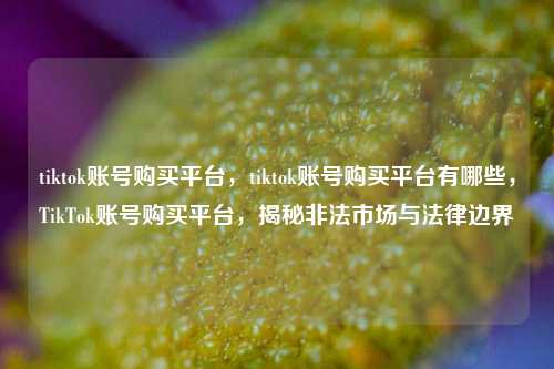 tiktok账号购买平台，tiktok账号购买平台有哪些，TikTok账号购买平台，揭秘非法市场与法律边界