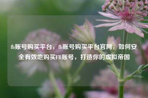 fb账号购买平台，fb账号购买平台官网，如何安全有效地购买FB账号，打造你的虚拟帝国