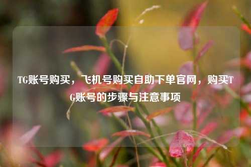 TG账号购买，飞机号购买自助下单官网，购买TG账号的步骤与注意事项