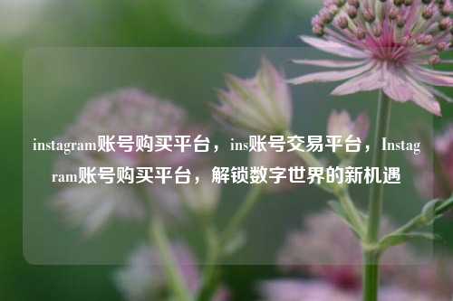 instagram账号购买平台，ins账号交易平台，Instagram账号购买平台，解锁数字世界的新机遇
