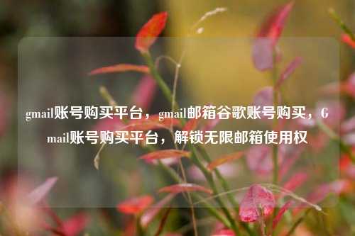 gmail账号购买平台，gmail邮箱谷歌账号购买，Gmail账号购买平台，解锁无限邮箱使用权