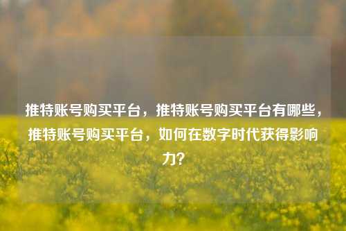 推特账号购买平台，推特账号购买平台有哪些，推特账号购买平台，如何在数字时代获得影响力？