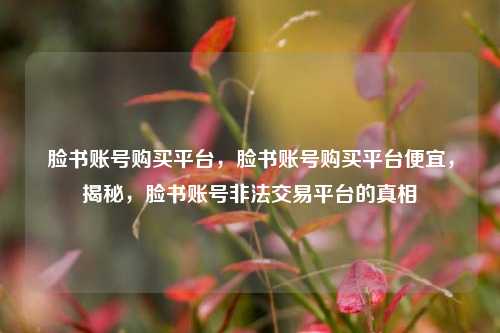 脸书账号购买平台，脸书账号购买平台便宜，揭秘，脸书账号非法交易平台的真相