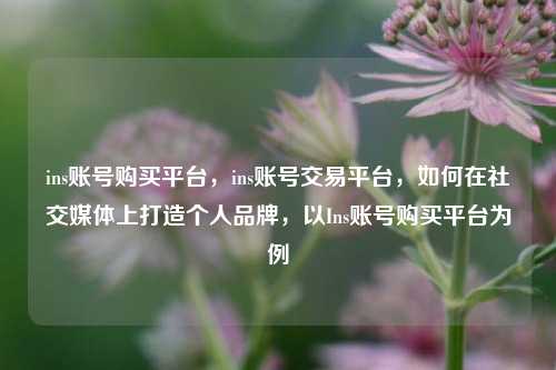 ins账号购买平台，ins账号交易平台	，如何在社交媒体上打造个人品牌，以Ins账号购买平台为例  第1张