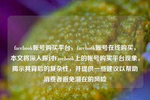 facebook帐号购买平台，facebook账号在线购买，本文将深入探讨Facebook上的帐号购买平台现象，揭示其背后的复杂性，并提供一些建议以帮助消费者避免潜在的风险