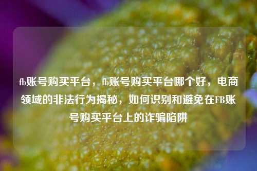 fb账号购买平台，fb账号购买平台哪个好，电商领域的非法行为揭秘，如何识别和避免在FB账号购买平台上的诈骗陷阱