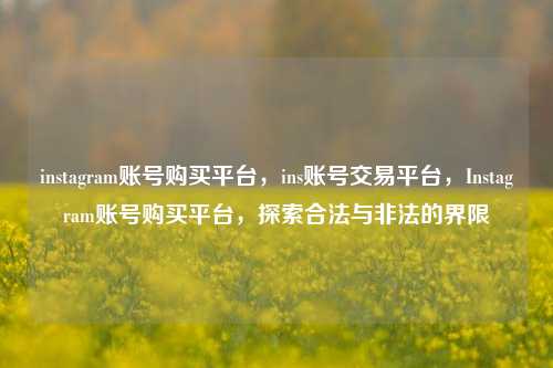 instagram账号购买平台，ins账号交易平台，Instagram账号购买平台，探索合法与非法的界限